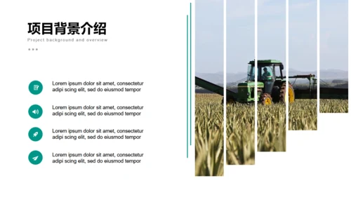 美丽乡村旅游项目乡村旅游通用PPT模板