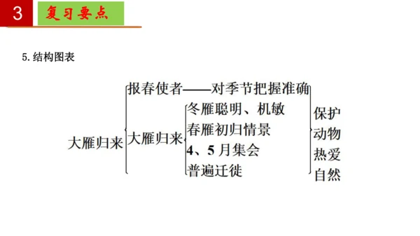 八年级语文下册第二单元 单元复习  课件(共30张PPT)