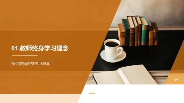 教师终身学习之道