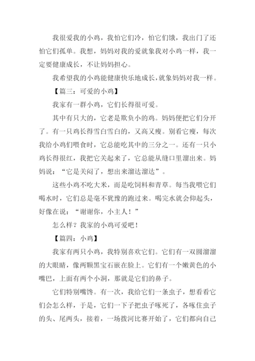 小鸡作文200字0.docx