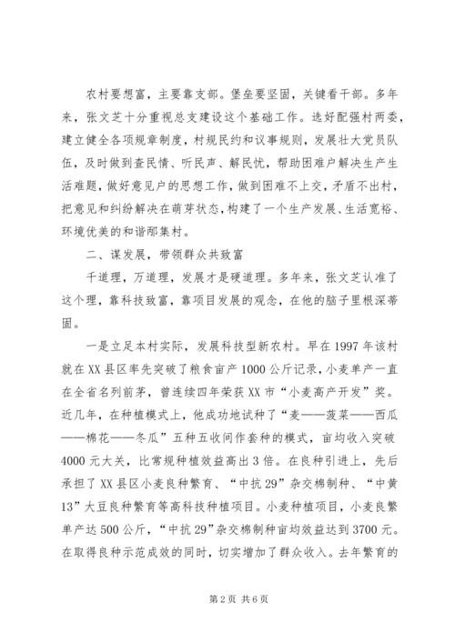 村党支部书记致富带头人材料.docx