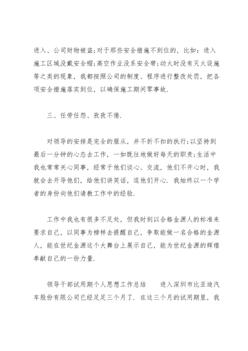 领导干部试用期个人思想工作总结.docx