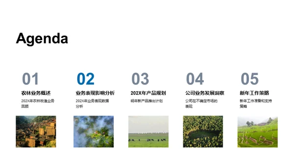 农林牧渔业绩复盘
