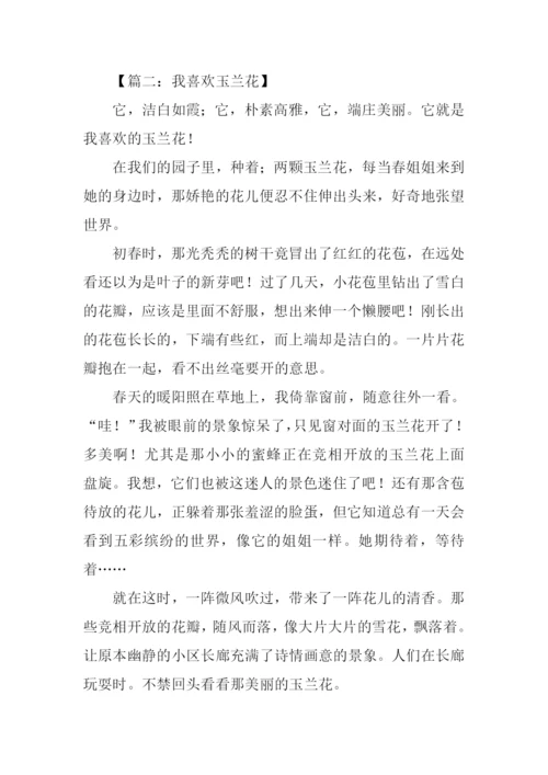 关于花的作文350字.docx
