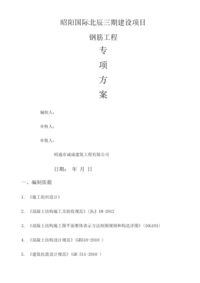 钢筋工程专项方案.docx