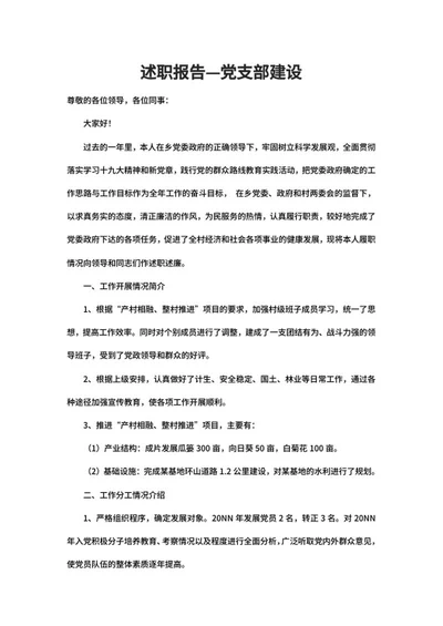 党支部建设述职报告word模板