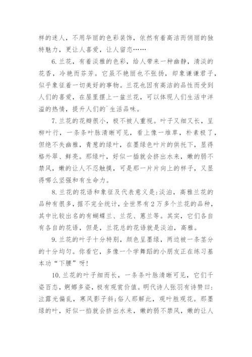 描写玉兰花的优美句子.docx