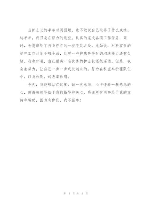 护土长个人季度工作总结范文.docx