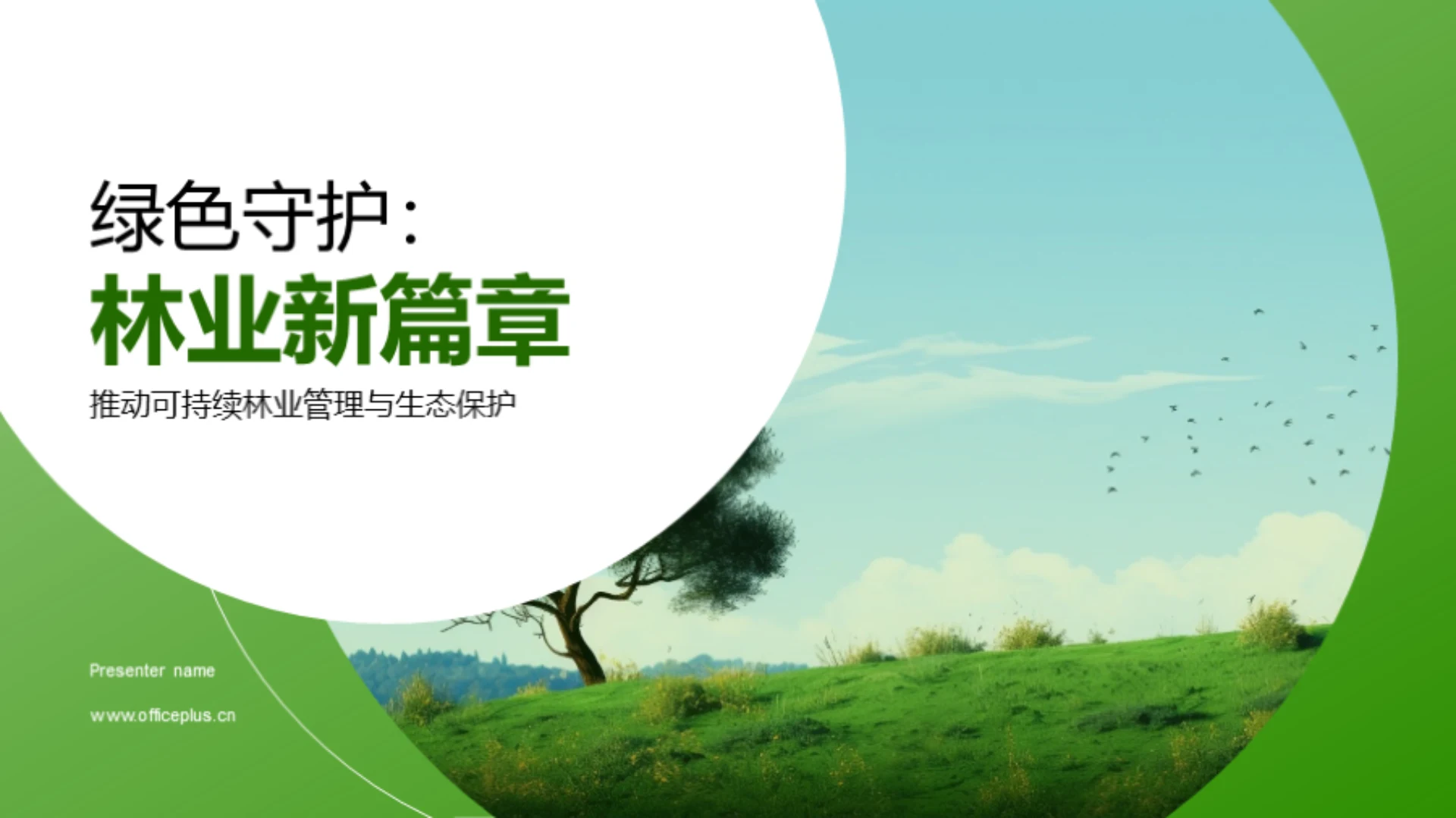 绿色守护:林业新篇章