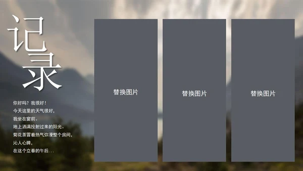 灰色画册风记录美好时刻相册PPT模板