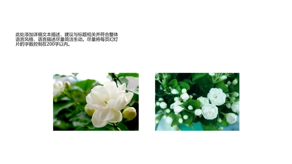 开头视频片头好一朵茉莉花ppt动态模板