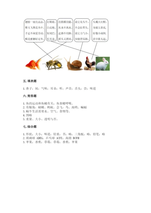 教科版小学科学一年级下册期末测试卷完整版.docx