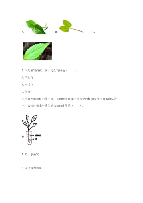 科学四年级下册第一单元《植物的生长变化》测试卷【必刷】.docx