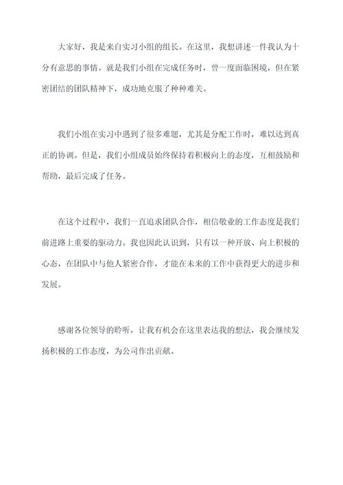 实习生组长思想汇报