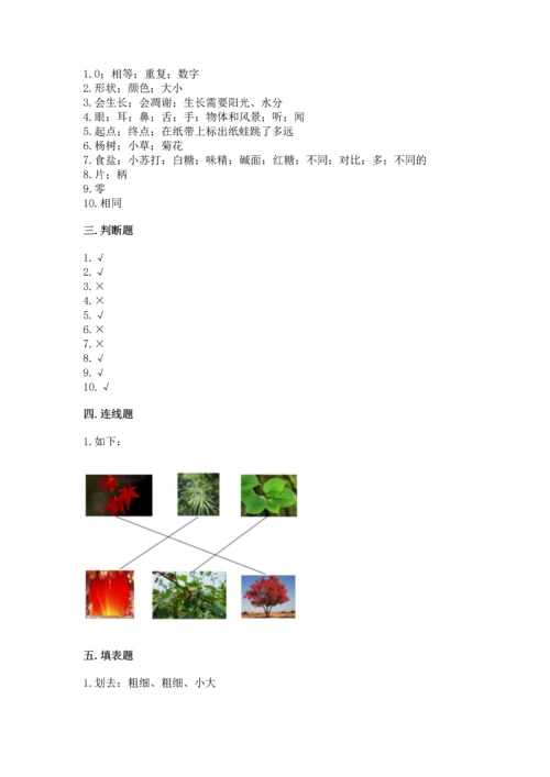 教科版小学一年级上册科学期末测试卷附答案ab卷.docx