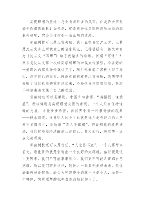 理想议论文精编.docx