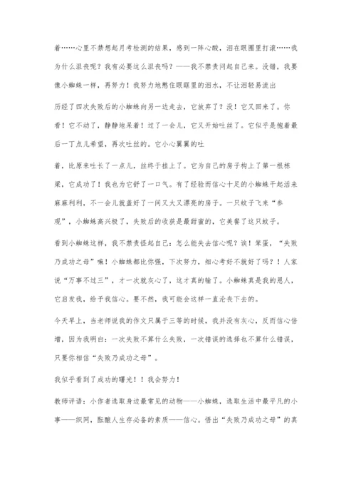 从蜘蛛织网中得到的启示1100字.docx