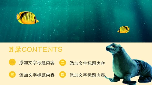 绿色海洋生物海洋资源通用PPT模板