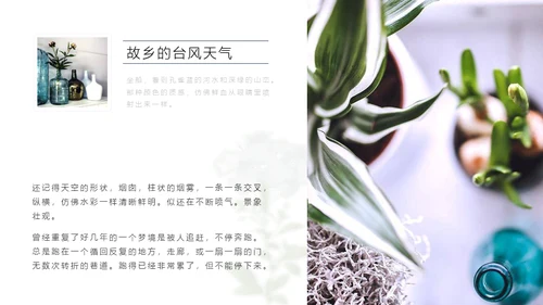 清醒纪植物绘小清新文艺女青年通用PPT模板