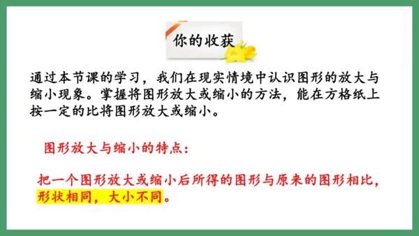 新人教版数学六年级下册4.3.4  图形的放大与缩小课件