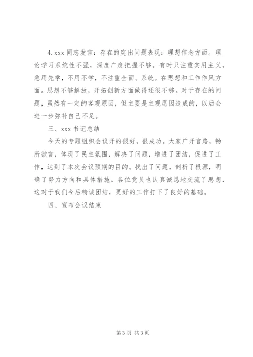 XX党支部民主生活会记录.docx