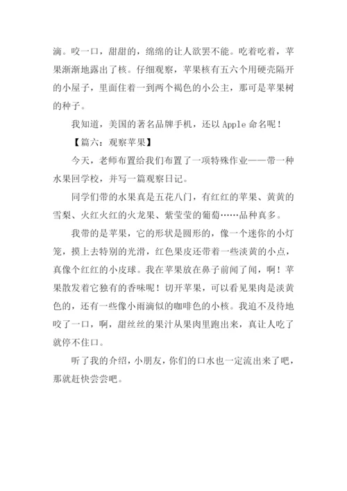 小学生观察作文苹果.docx