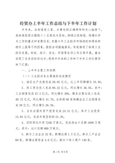 经贸办上半年工作总结与下半年工作计划.docx