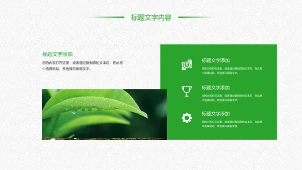 绿色唯美清新茶园文化茶艺品茶论道PPT模板