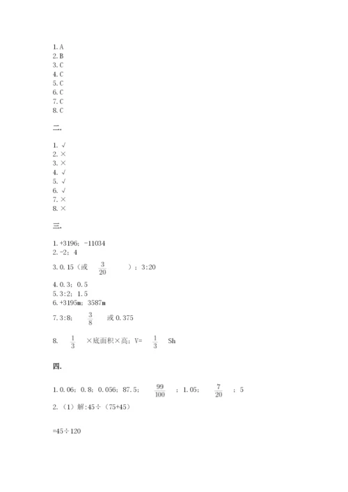 苏教版数学六年级下册试题期末模拟检测卷【必刷】.docx