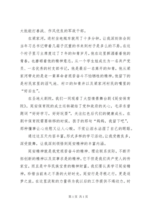 延安红色教育学习心得体会5篇.docx