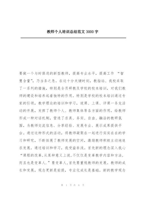 教师个人培训总结范文3000字.docx