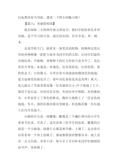 关于校园的作文-2.docx