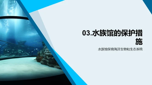 海洋守护：水族馆的角色