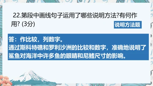 八年级上册期中复习