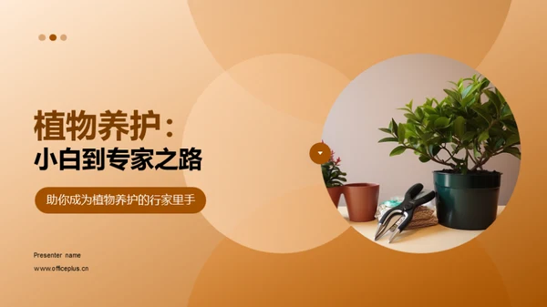 植物养护：小白到专家之路