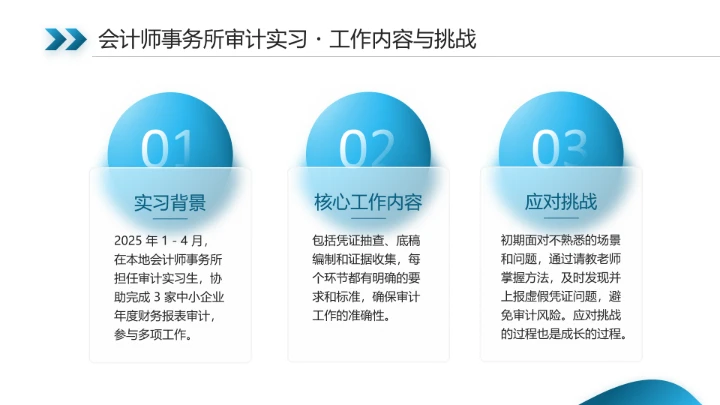 会计学专业大学生职业生涯规划发展展示(审计师方向)