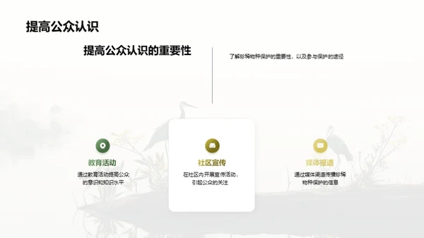 共同关爱地球，保护珍稀物种