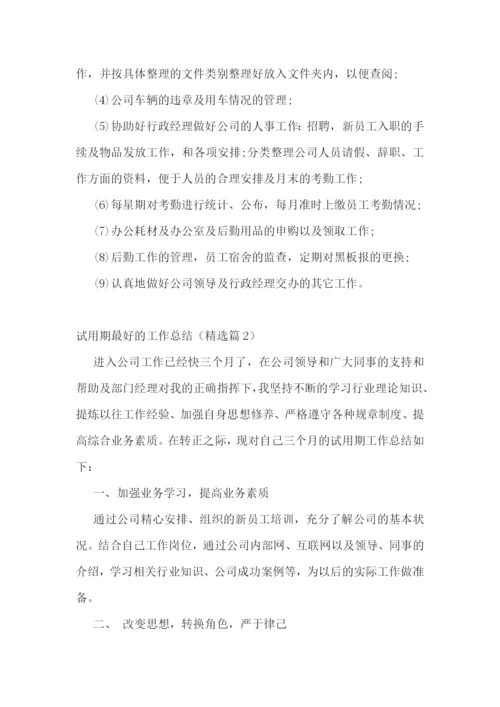 新年试用期最好的工作总结.docx