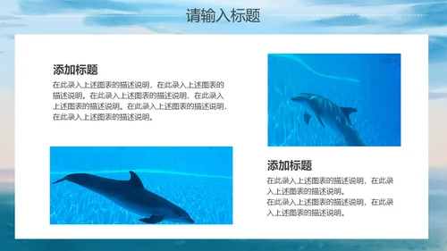 海洋生物大鲸鱼教学经验交流通用PPT