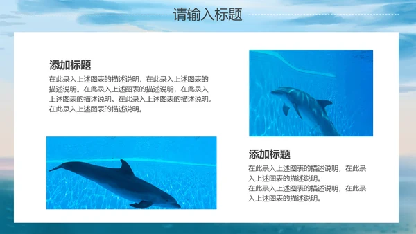 海洋生物大鲸鱼教学经验交流通用PPT