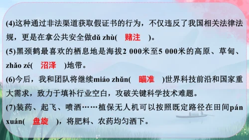 19《大雁归来》课件