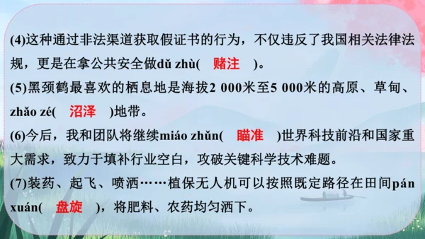 19《大雁归来》课件