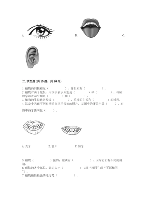 教科版二年级下册科学期末测试卷含答案（实用）.docx