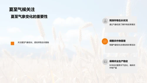 夏至农业气候指导