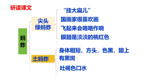 第4课《昆虫备忘录》（教学课件）