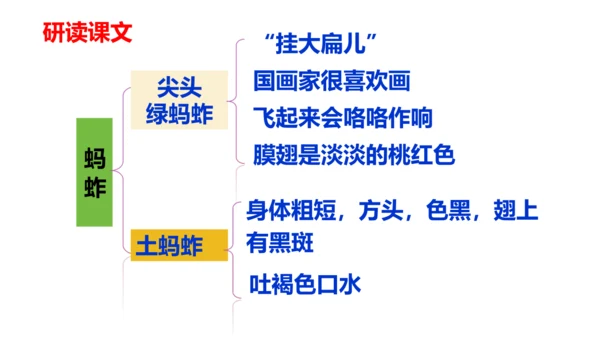 第4课《昆虫备忘录》（教学课件）