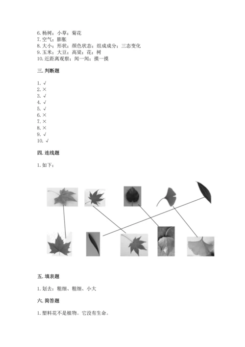 教科版小学一年级上册科学期末测试卷附完整答案（夺冠系列）.docx