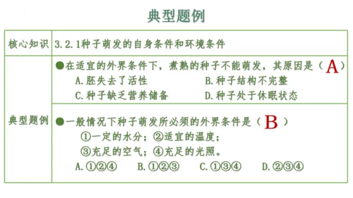第三单元 植物的生活（单元复习课件）2023-2024学年七年级生物上册同步精品课件（人教版）(共3