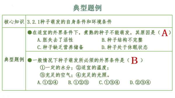 第三单元 植物的生活（单元复习课件）2023-2024学年七年级生物上册同步精品课件（人教版）(共3