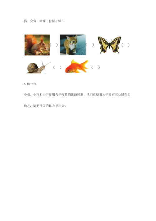 教科版一年级下册科学期末测试卷附参考答案（基础题）.docx